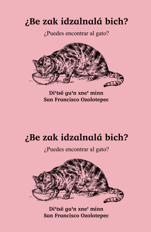 Encuentra el gato