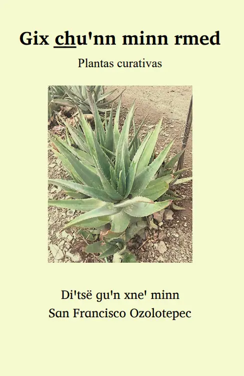 Plantas curativas 