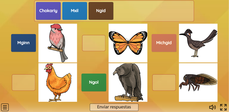 animales