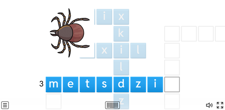 Insecto